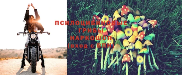 MDMA Горнозаводск