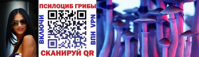Купить  Кстово  Псилоцибиновые грибы мицелий 